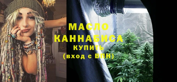 сатива Вяземский