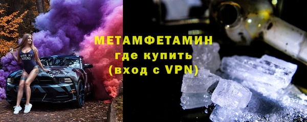 сатива Вяземский