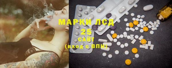стафф Вязьма