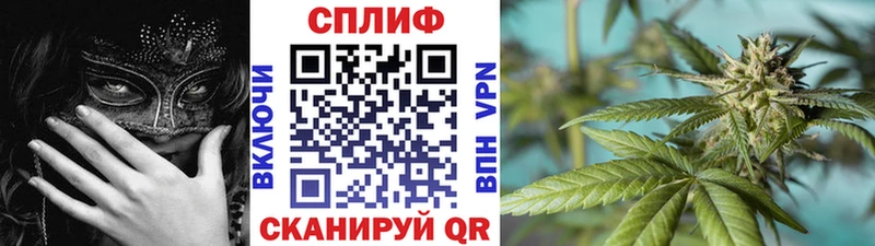 Каннабис MAZAR Губаха